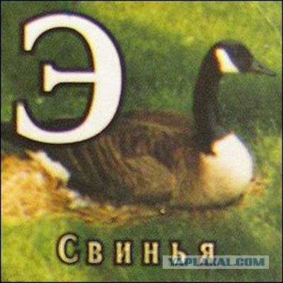 Иллюстрируем безграмотность