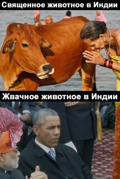 Кто воспитывал эту обезьяну?