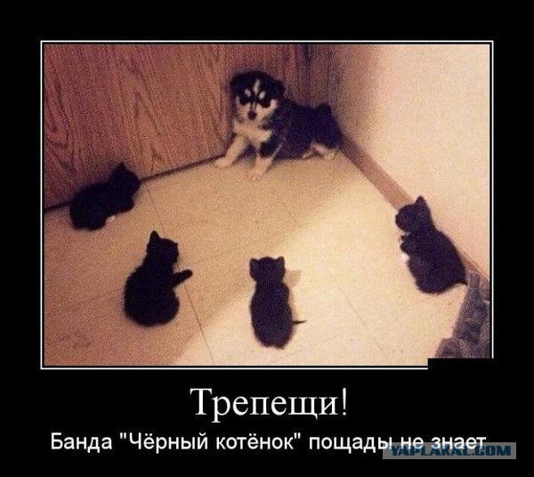Картинки с буквами -11