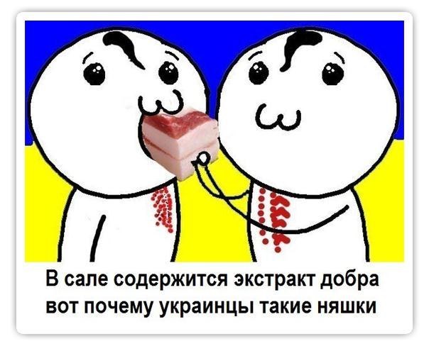 Британские учёные выяснили что содержится в сале!