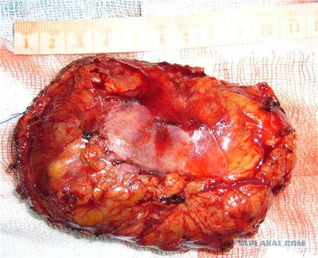 Моя коллекция пивных этикеток.