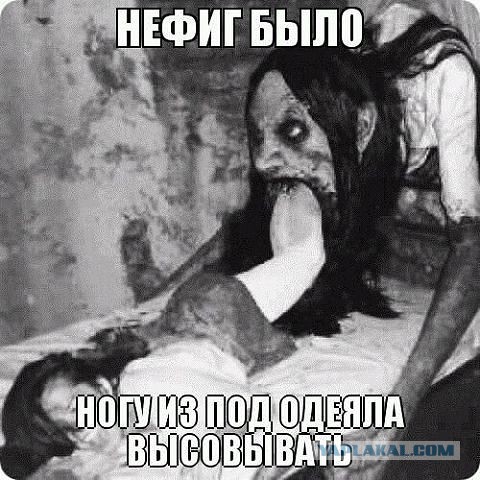 Прикольные фото и картинки