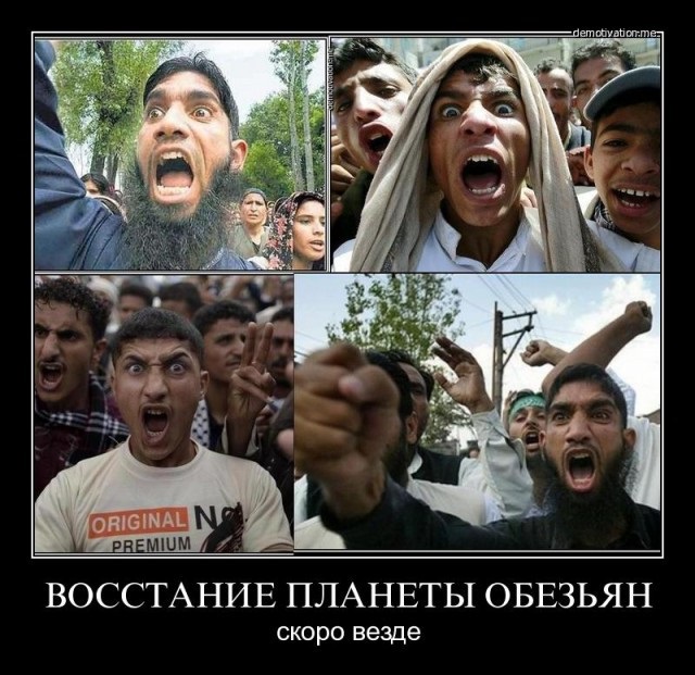О том, как учат убивать маленький но гордый народ