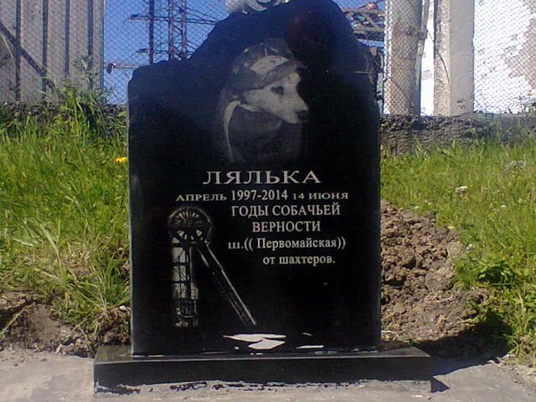 Нелегальные кладбища животных