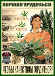 Наркоманский юмор