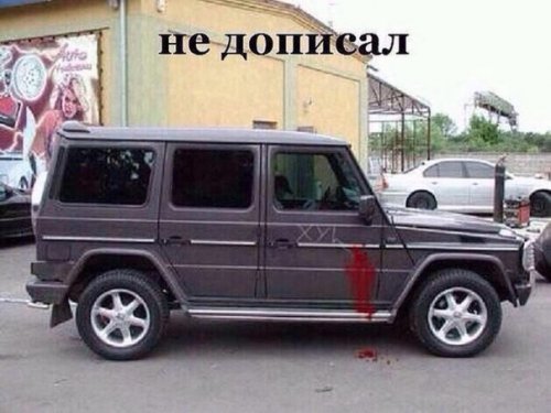 Прикольные картинки и демотиваторы