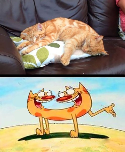 Разные картинки из сети