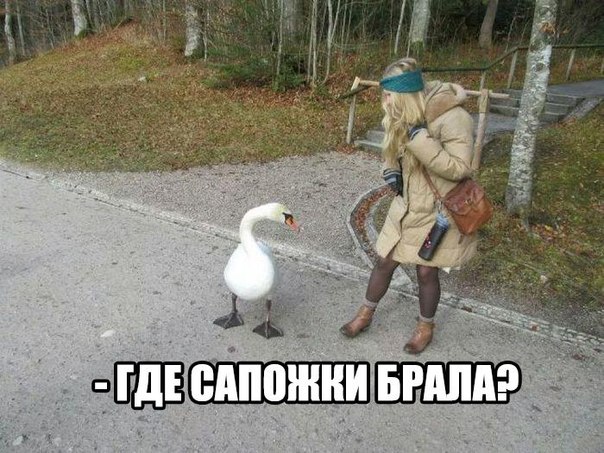 Картинки разные из сети