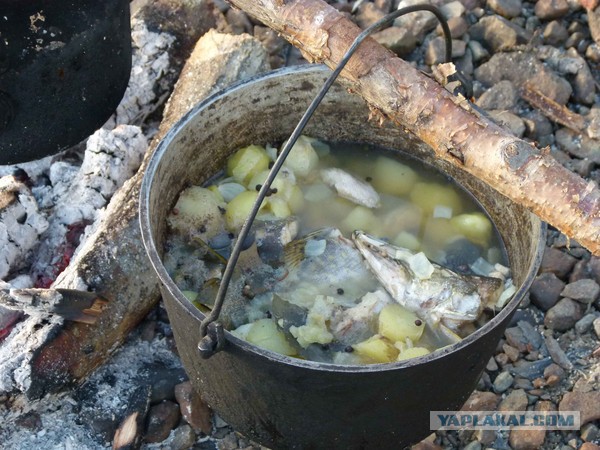 Полевая кухня