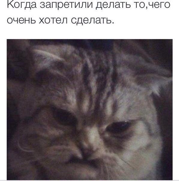 Подборка Картинок из сети