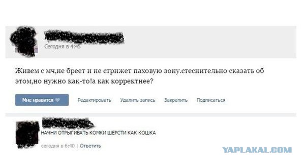 Смешные комментарии из социальных сетей 19.02.2016