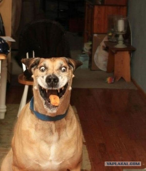 Фотографии девушек от  Владимира Мельникова из Норильска