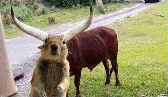 Интересные и смешные картинки!