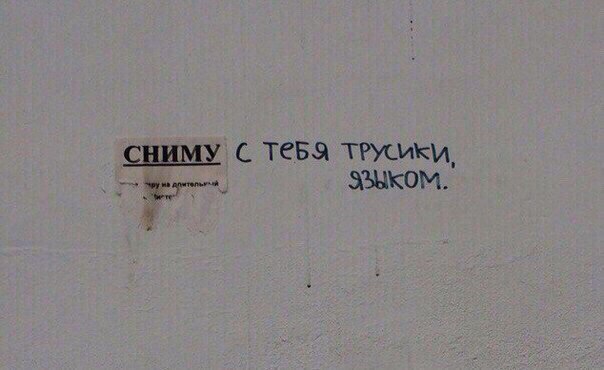 Ужасы и приколы из соцсетей