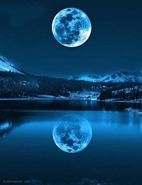 Интересные и веселые картинки