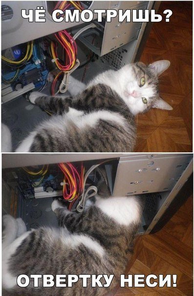Несколько фот из сети