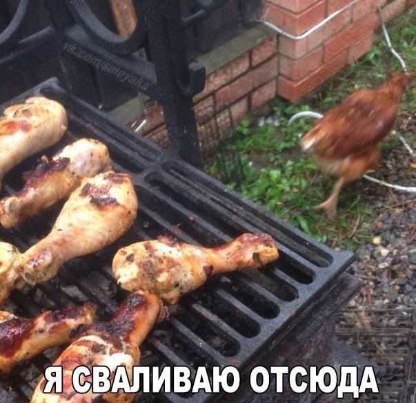 Подборка частицы смеха...