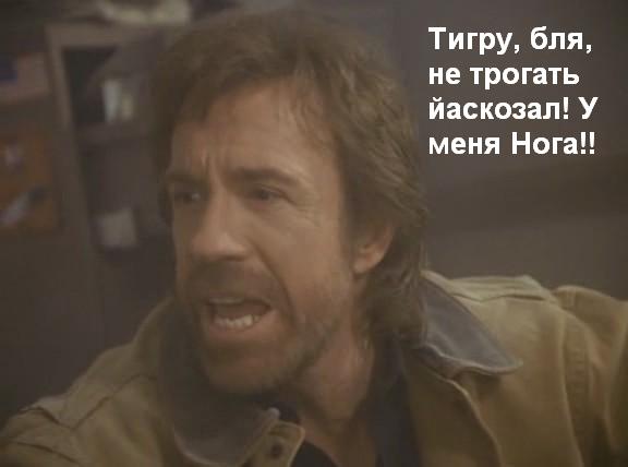 Про погоду: мы все умрем!