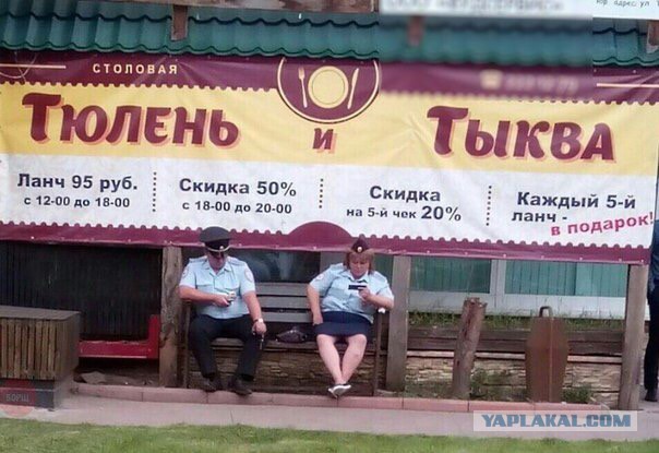 Подборка интересных и веселых картинок