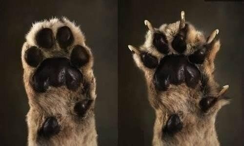 Фотки всякие разные...