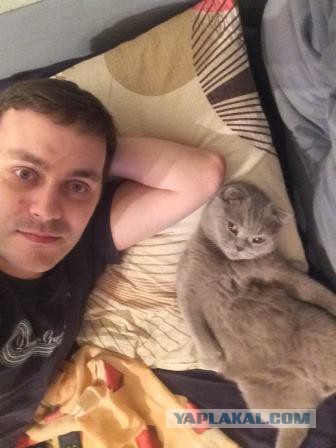 Котовторник 28.02.2017