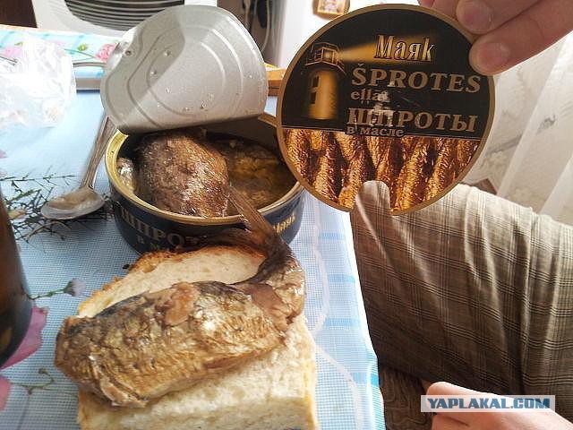 Число не одобряющих продуктовые санкции россиян выросло почти втрое