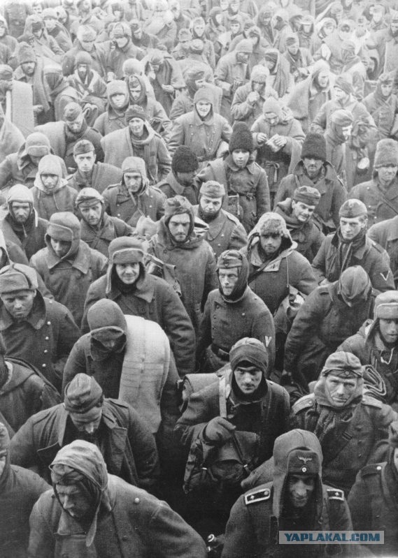 НАТО ищет статистов на роль «русских» для учений