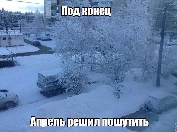 Подборка безудержного веселья
