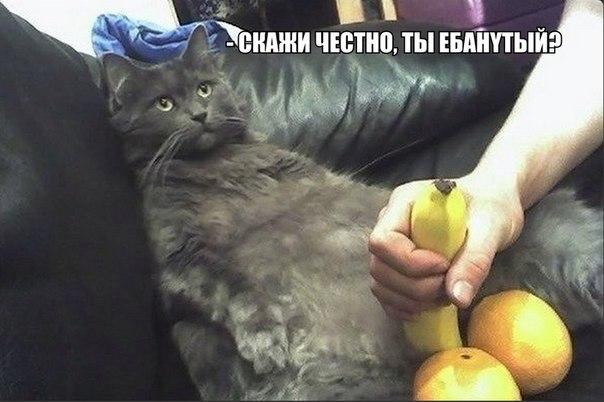 Приколы и юмор из социальных сетей