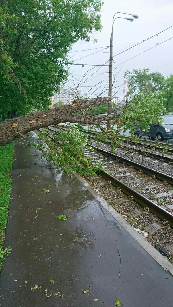 В Москве ураган!