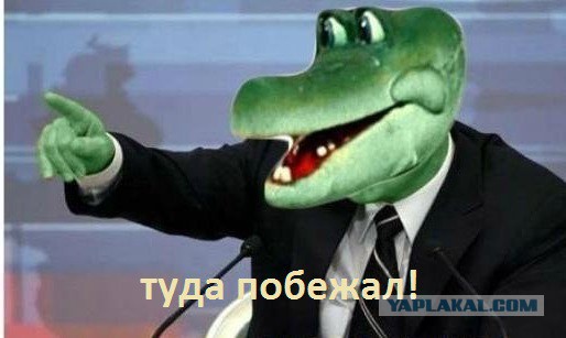 Простите, но я опять про то же...