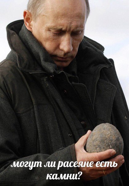 Путин предложил россиянам потерпеть
