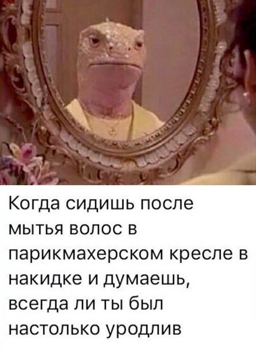 Прикольные картинки обо всем