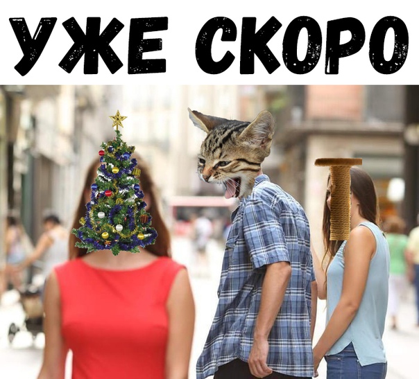 Картинки разные нужны, картинки всякие важны