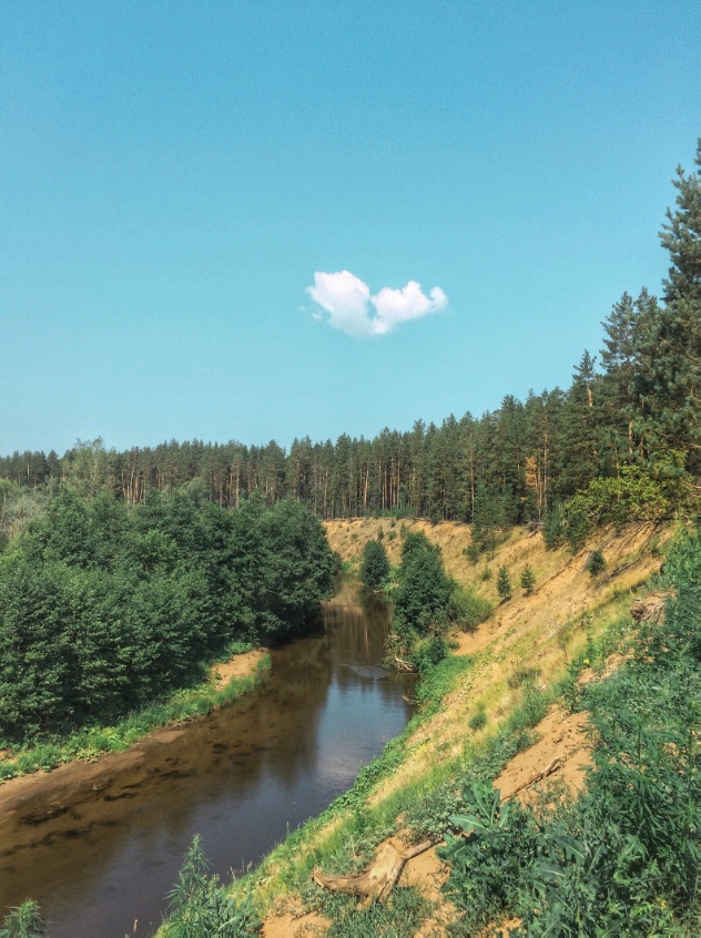 Конопля с грибами