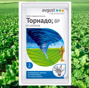Как извести эту заразу?