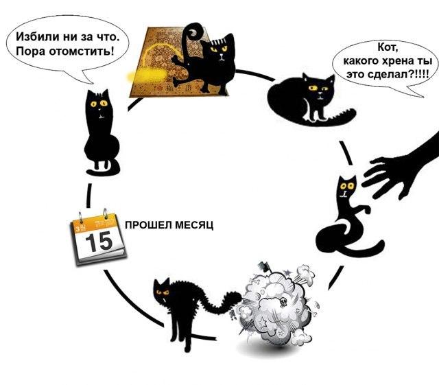Комиксы, которые демонстрируют, что жизнь с котом — это отдельная профессия