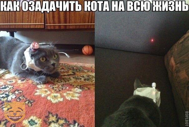 Бредзона 26.10.19