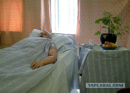Медицинские манекены