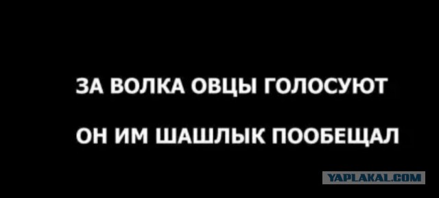 Я сейчас офигел. начали спорить на работе по поправкам в конституцию. у меня на работе 100% за (опрос)