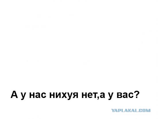 Фотожаба: Наши правила