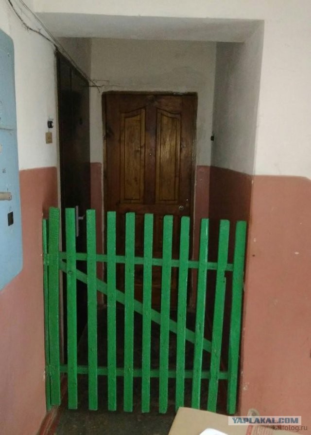 Россия изнутри