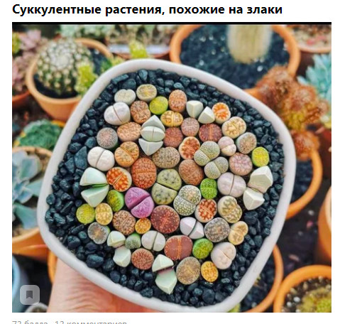Фото-винегрет. Картинки ниапчём и обо всём