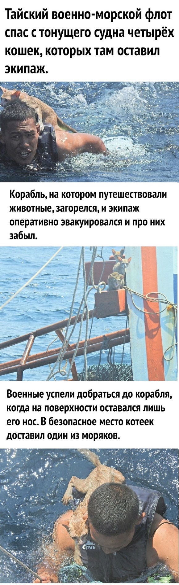 Картинки с надписями и всякие жизненные фразы