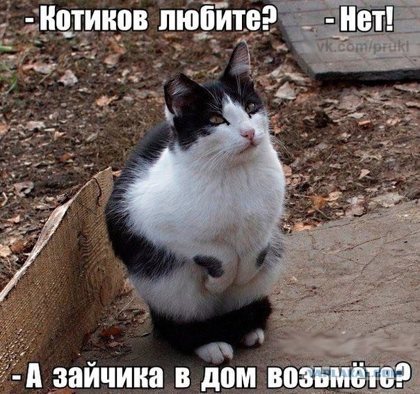 Картинки 21.03.21