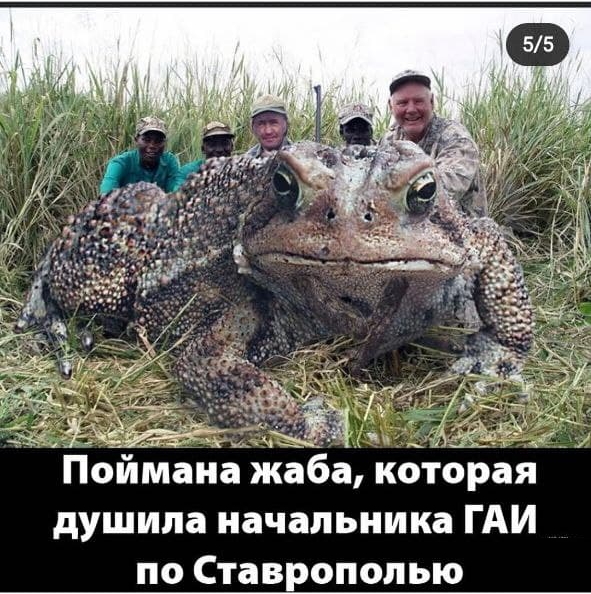 Просто один сотрудник из ГИБДД Ставрополья