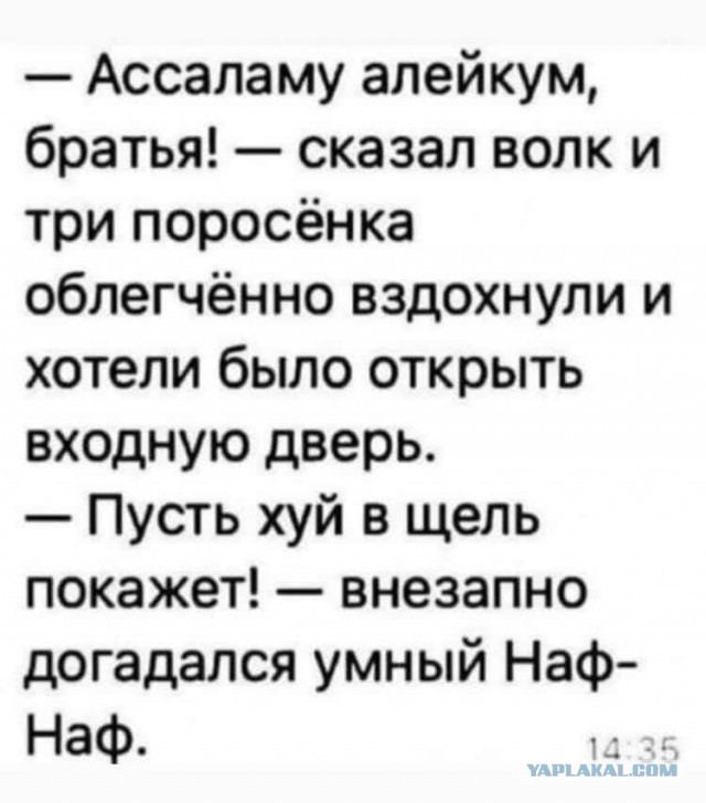 Юмор и прикольные картинки