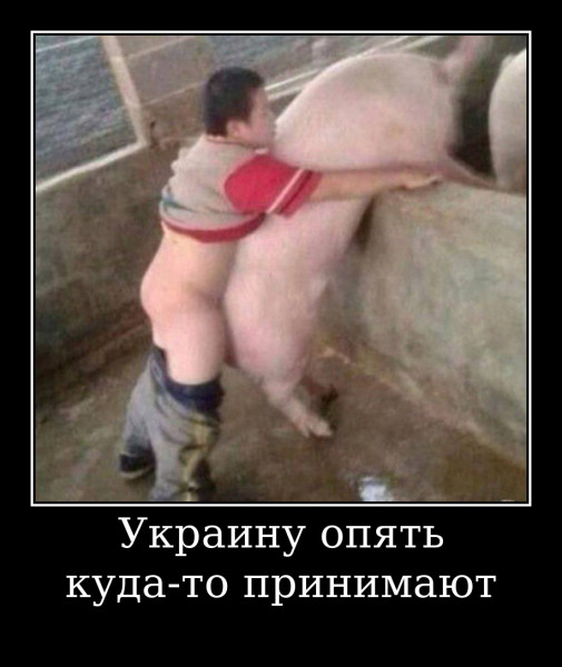 Картинки и мемы для настроения 25.11.2021