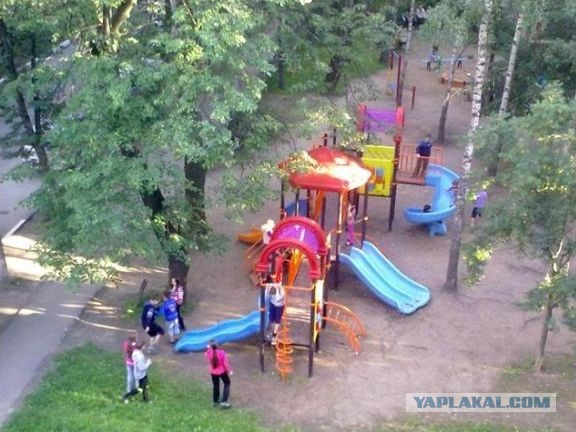 Топ громких расправ над живодёрами