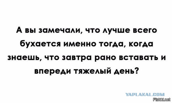 Человек собаке друг и другие картинки под настроение 13.01.2022